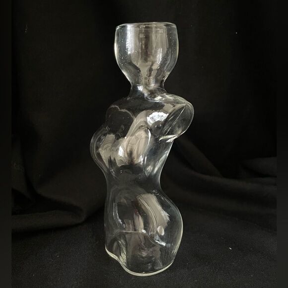 Elegant Glass Vase with Green Plant - Picture 4 of 7